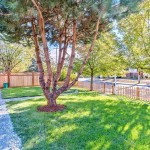 Front yard
